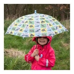 Parapluie Enfant 54 Cm Prehistoric Land -Delsey Paris Magasin parapluie enfant 54 cm prehistoric land 2