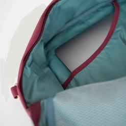 Sac à Dos Cabine Classic 36 Litres Easyjet Napa Wine 20 Sac à Dos Cabine Classic 36 Litres Easyjet Napa Wine -Delsey Paris Magasin sac a dos cabine classic 36 litres easyjet napa wine 7