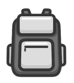 Delsey Paris Magasin